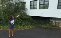La concejala muestra como la maleza invade la pol�mica F�brica da Luz. 