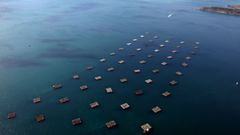 Vista a�rea del Parque Nacional das Illas Atl�nticas (Islas Atl�nticas). Pol�gono de bateas (Batea de mejill�n) de mejillones en Cangas.