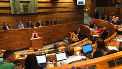 Dolores Carcedo en la Junta General