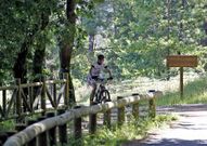 <span lang= es-es >Deporte. </span>Las bicicletas son habituales en los caminos del Pedroso, al que se puede acceder hasta la cumbre en autom�vil.
