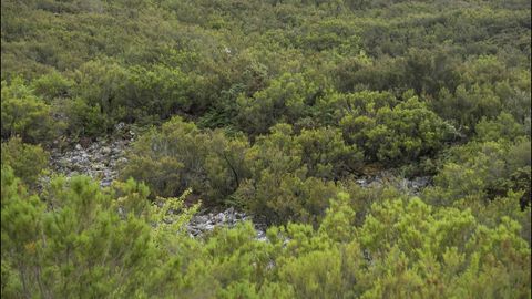 Vestigios de las antiguas actividades mineras en la mina de A Escrita