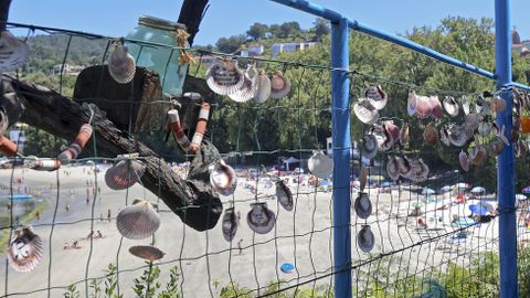 Playa de Aguete. Conchas de zamburias con inscripciones de loe turistas en O Rincn de Poty