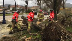 Helena derriba �rboles en Samil