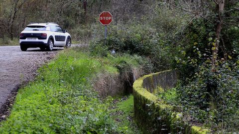 El canal de regadío a su paso por la parroquia monfortina de Reigada