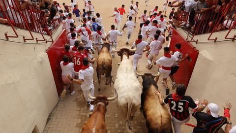 Los toros entrando en la plaza