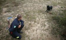 A Estrada acogi� ya en a�os anteriores pruebas internacionales de homologaci�n de perros de rescate.