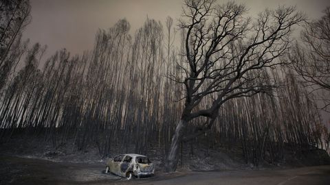 El incendio de Pedr�g�o ocasion� la muerte de 64 personas en junio del a�o pasado