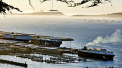 Tres buques estuvieron embarcando los veh�culos ayer en Bouzas.