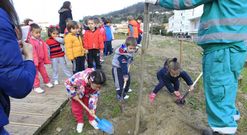 Plantaci�n de �rboles realizada por el Ceip Nicol�s del R�o, en una imagen de archivo. 
