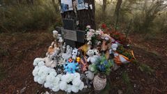 Flores, unvioln, peluches, juguetes, cartas y estampas religiosas en el lugar de Teo donde apareci el cuerpo de Asunta Basterra Porto, asesinada por sus padres