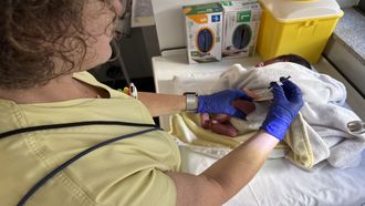 Una enfermera vacuna este lunes a un beb� contra el virus respiratorio sincitial