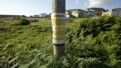 Cartel advirtiendo a los propietarios de una finca con maleza que la limpien, en A Coru�a