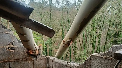Los troncos tras romper parte del tejado y el muro del gallinero