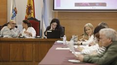 Pleno de este mi�rcoles