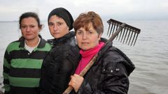 A dos grados y con viento del norte, �te meter�as al agua?