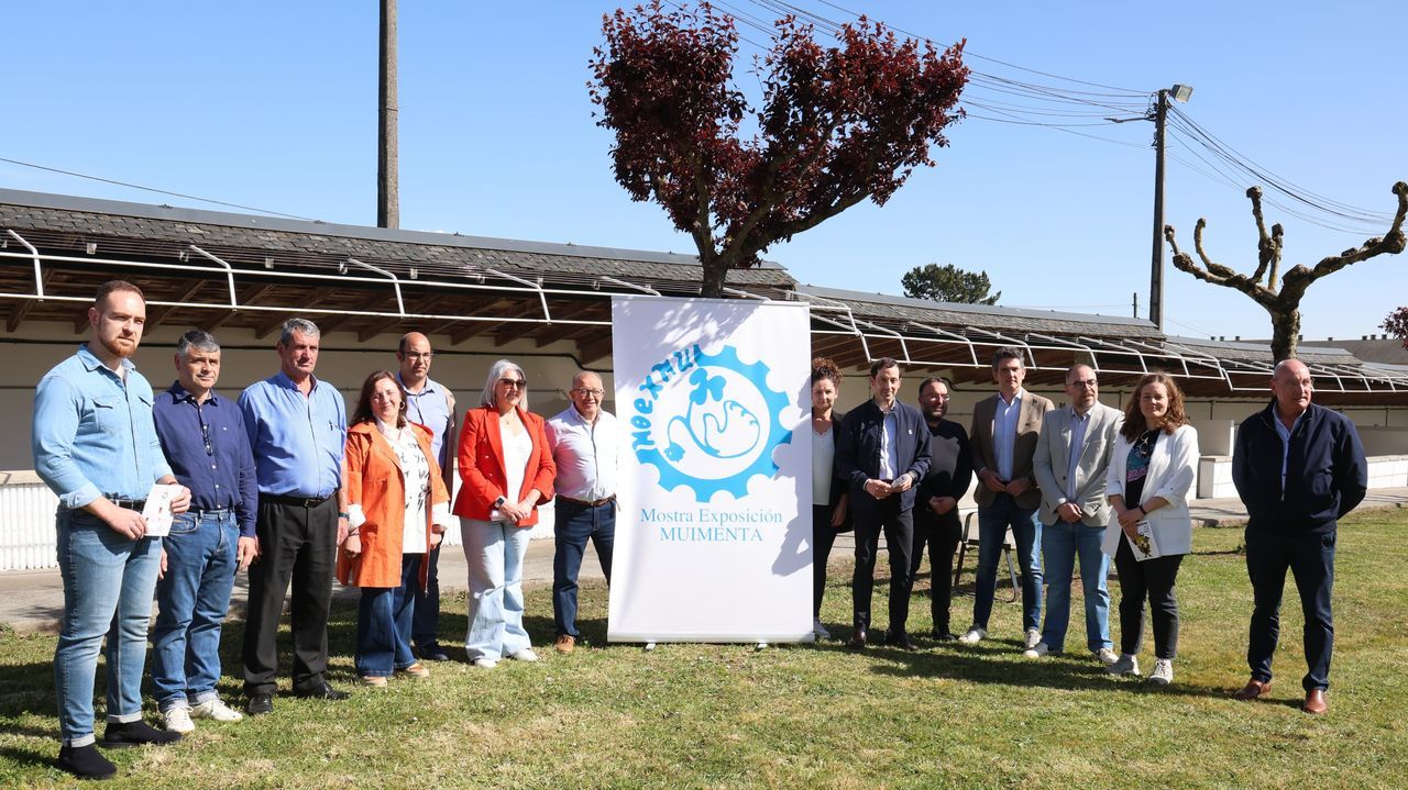 Moexmu se afianza como gran feria de ganado: récord de animales en el concurso de reses frisonas