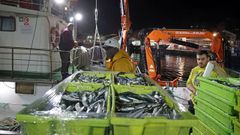 Un cerquero gallego descargando sardina en la lonja de Ribeira a principios de noviembre del 2025
