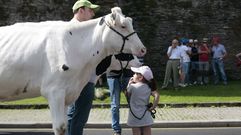 Manifestaci�n de Agromuralla por un precio justo de la leche