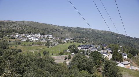 Naturgy recurrir� al ganado para desbrozar debajo del tendido el�ctrico en Vilari�o de Conso