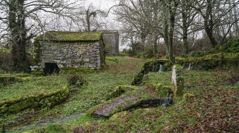 Molino de Randín, en Calvos de Randín