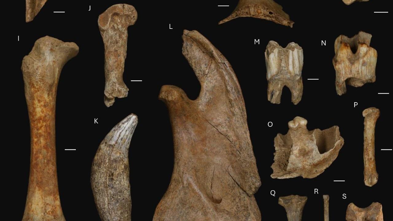 Así era el clima de Galicia en el que vivieron los neandertales hace 40.000 años: más frío y  menos lluvioso