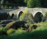 La vegetaci�n crece en la estructura del puente y en las orillas. 