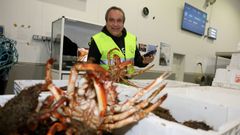 Emilio Gali�anes enc�rgase de todo na lonxa do Grove.