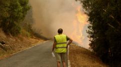 Llamas el viernes por la tarde en las cercanías de la aldea de Alvaredos, en el límite entre el municipio de Quiroga y el de A Rúa