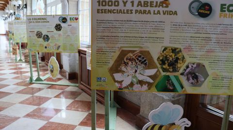 Todo sobre las abejas, en el Pazo de San Marcos.