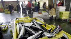 Hasta finales de agosto, la flota espa�ola de litoral solo hab�a descargado 3.247 toneladas de xarda, un 27 % de las que pod�a capturar en el 2026.