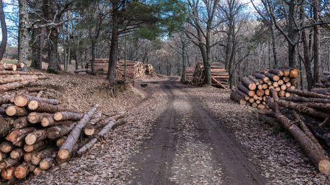 Madera de casta�o.Madera de casta�o
