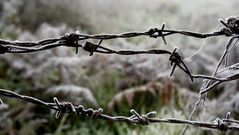 Fuertes heladas por las bajas temperaturas