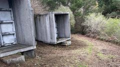 Estado del camposanto tras la limpieza