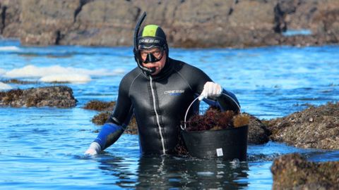 Captura del oricio en Asturias