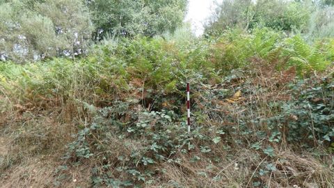 Un aspecto de la mámoa localizada en la parroquia de Remesar, que está cubierta de vegetación