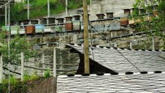 Colmenas en la aldea de Cortes, en el municipio de Folgoso do Courel