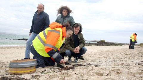 TRABAJADORES CONTRATADOS POR LA ARMADORA DEL TOCONAO LIMPIAN LA PLAYA DE O CASTRO DE PELETS