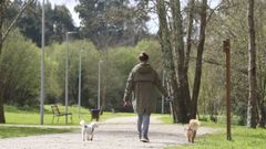 Senda peatonal de Nar�n a su paso por Pi�eiros, barrio en el que se pide un parque infantil con pista multideportiva para la zona de O Ponto.