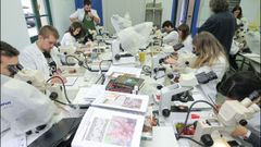 Los alumnos salen por la ma�ana al mar a recoger muestras de fauna y flora que luego analizan en el laboratorio