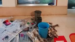 Cubos y papeles son habituales en el CEIP Froebel de Pontevedra cada vez que llueve