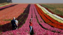 Una mujer israel se hace un selfie -en una imagen de archivo- en un campo de folores cerca del kibutz Nir Yitzhak, en el sur de Israel.