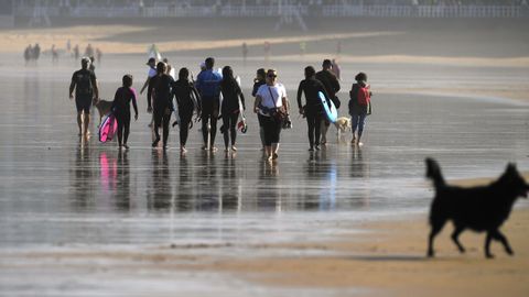 Imagen de la Playa de San Lorenzo de Gijn 