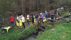VOLUNTARIOS RECOGIENDO BASURA