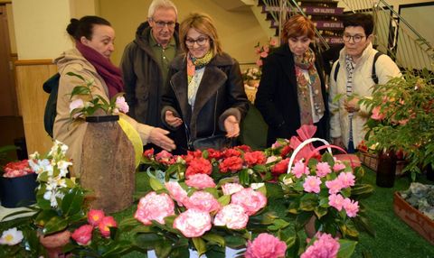 La variedad de las flores es una de las caracter�sticas de estos cert�menes.