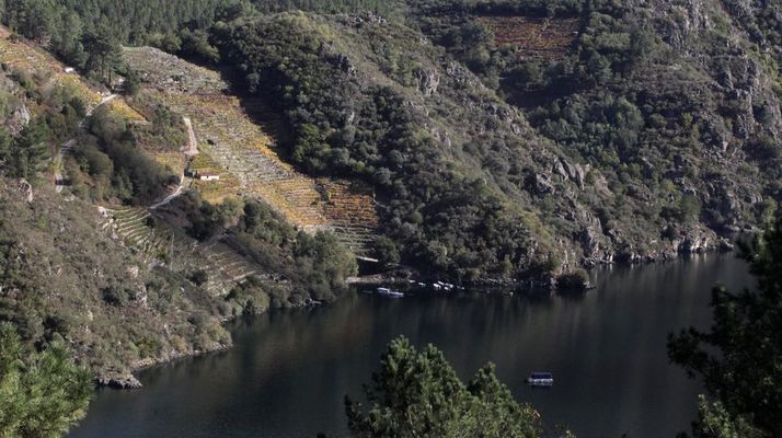 Vi�as en Os Chanc�s, donde se recogieron los datos del estudio