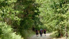 Chequeo al Camino Franc�s, de Arz�a a Santiago