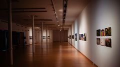 El Ourense Film Festival (OUFF) present� la exposici�n �Ecosistema dunha rodaxe, en el centro cultural Marcos Valc�rcel