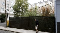 Los plumachos invasores se expanden sin ning�n tipo de control