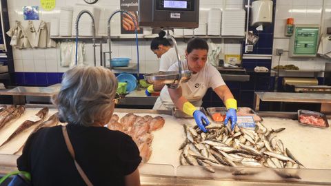 Venta de sardina este martes en el Mercado de A Magdalena de Ferrol