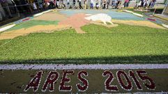 Alfombras de Ares